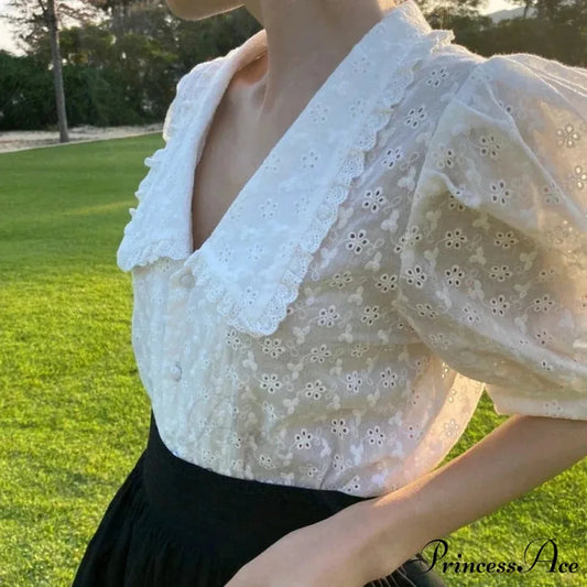 Empty Lace Puff Sleeve Peter Pan Collar Blouse blouse-250126