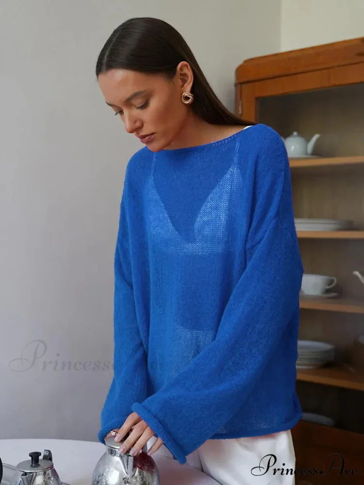 Empty Transparent Round-neck Long Sleeve Sweater Blue / S swraters-241228