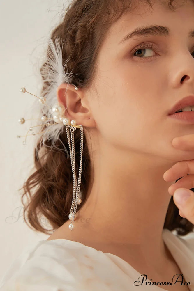 Feather Elegant Tassel Earrings Picture