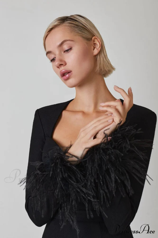 Feather Long Stylish Sleeve Bustier Dress
