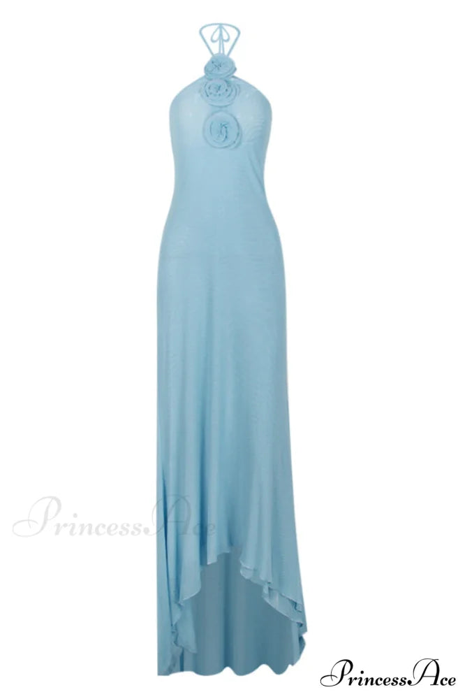 Floral Appliqu鑼?Halter Charming Neck Maxi Dress XS / Light Blue
