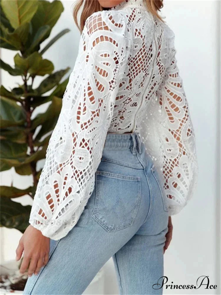 Graceful Lace Puff Sleeve Trim Fit Crop Blouse blouse-250126