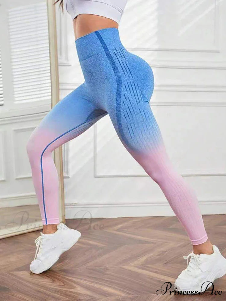 Gradient Seamless Gym Fitness Workout Yoga Legging Pink / S