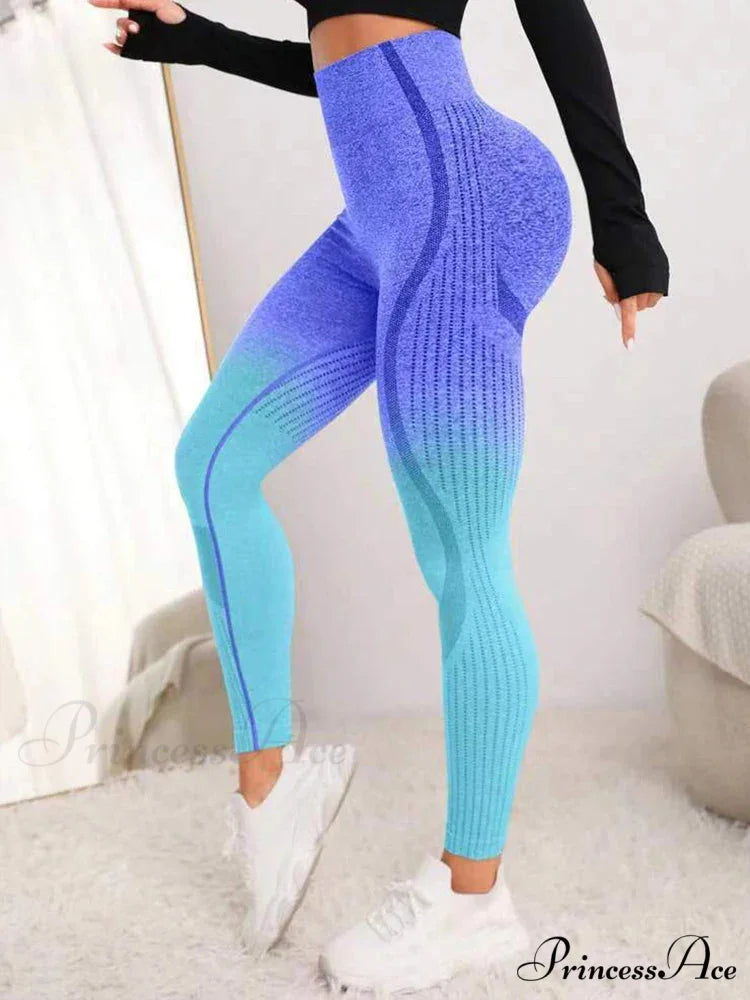 Gradient Seamless Gym Fitness Workout Yoga Legging Purple / S