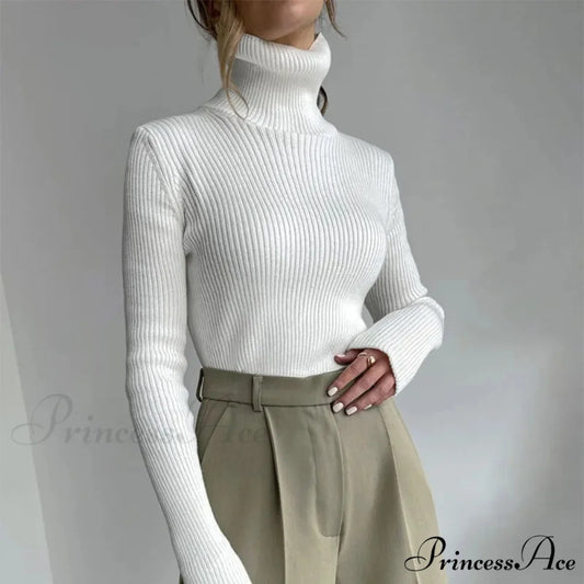 High-neck Slender Pullover Extended Sleeve Sweater swraters-241228