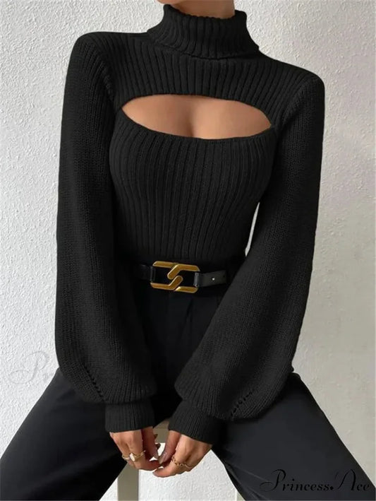 Hollowed-out Turtleneck Seductive Sweater Black / S swraters-241228