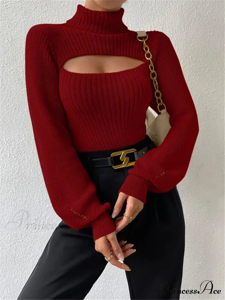 Hollowed-out Turtleneck Seductive Sweater Burgundy / S swraters-241228