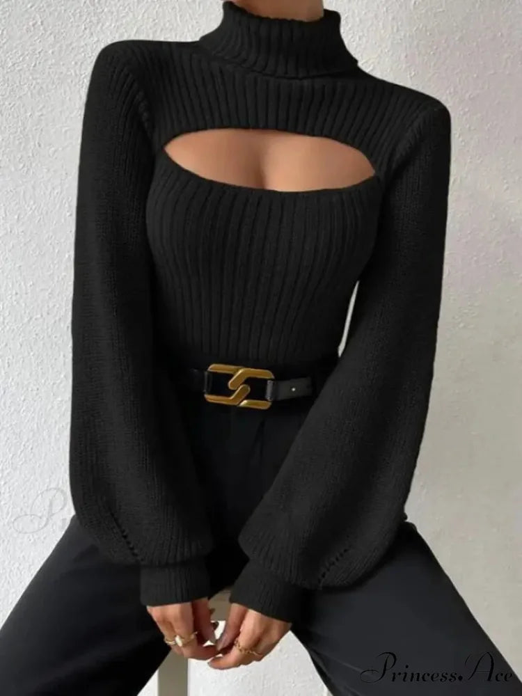 Hollowed-out Turtleneck Seductive Sweater swraters-241228