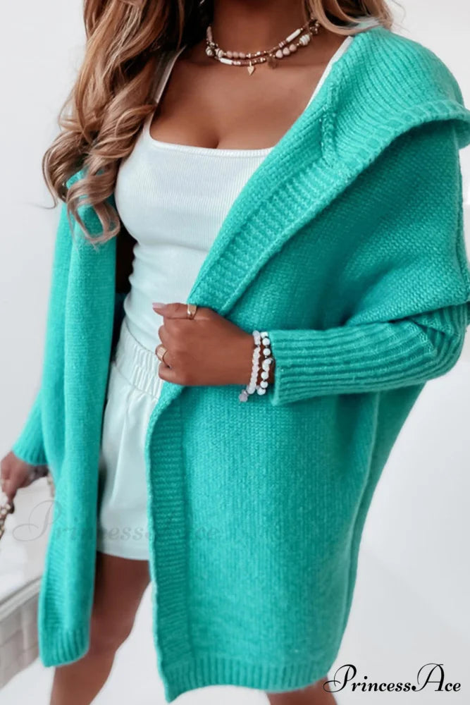 Hoodie Front Open Cardigan Lake Blue / S