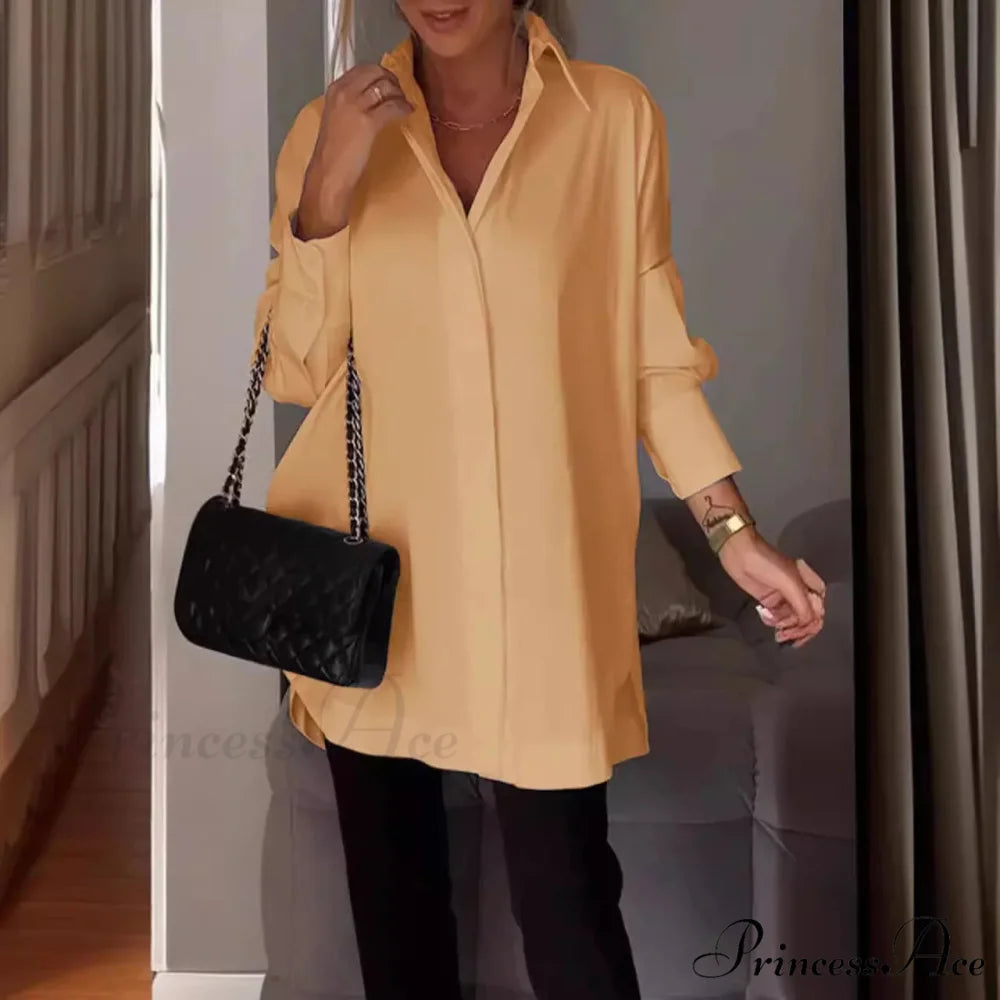 Informal Unpredictable Pullover Extended Sleeve Blouse blouse-250126