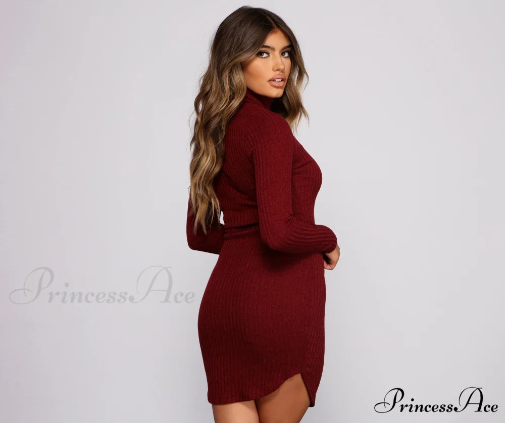 Knit Girl Stylish Turtleneck Mini Dress