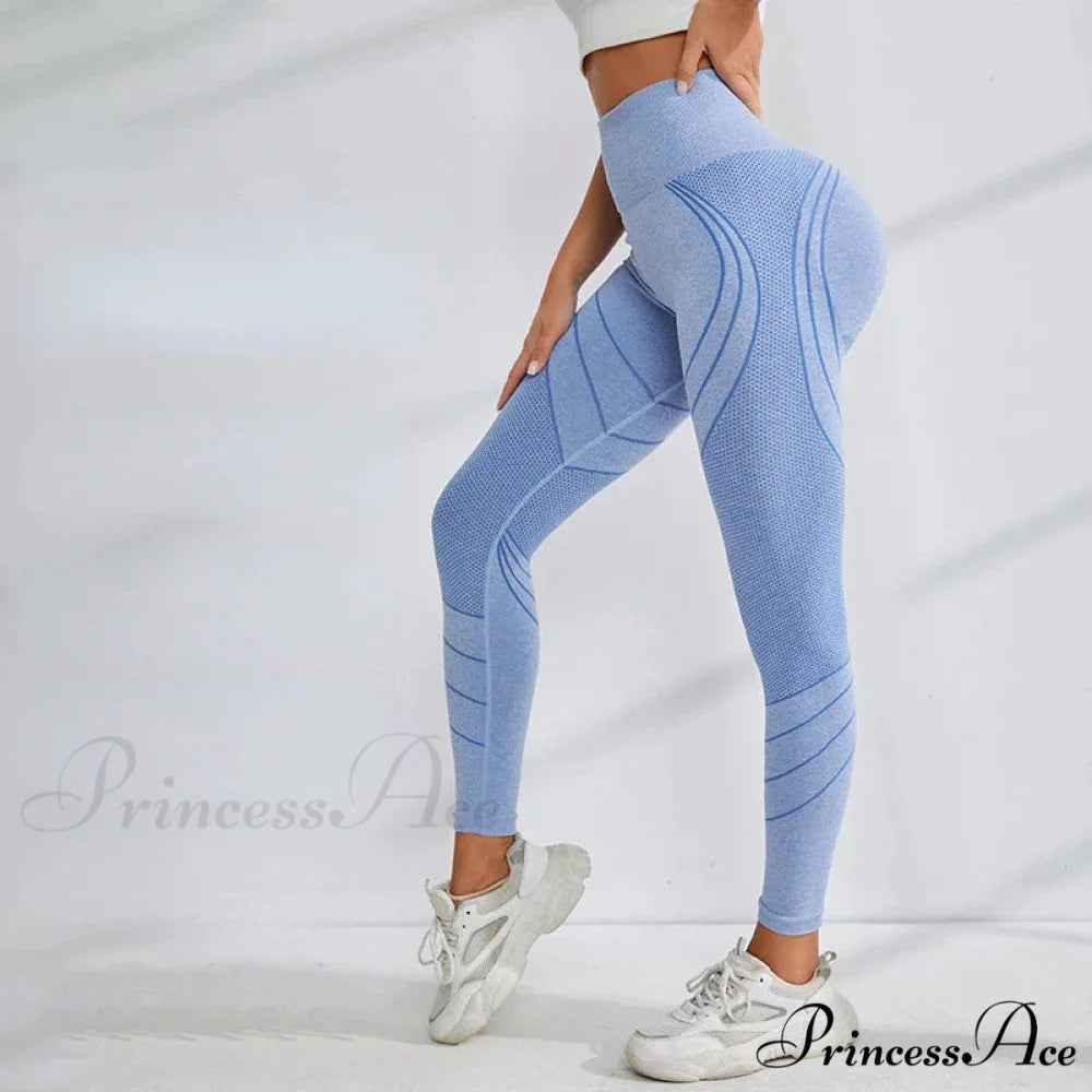 Knitting Mesh High Waist Fashion Yoga Legging Blue / S