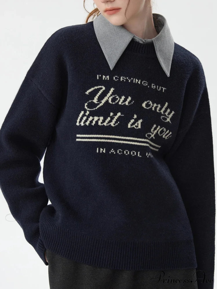 Korean Fashion Pullover Knitted Jumper swraters-241228