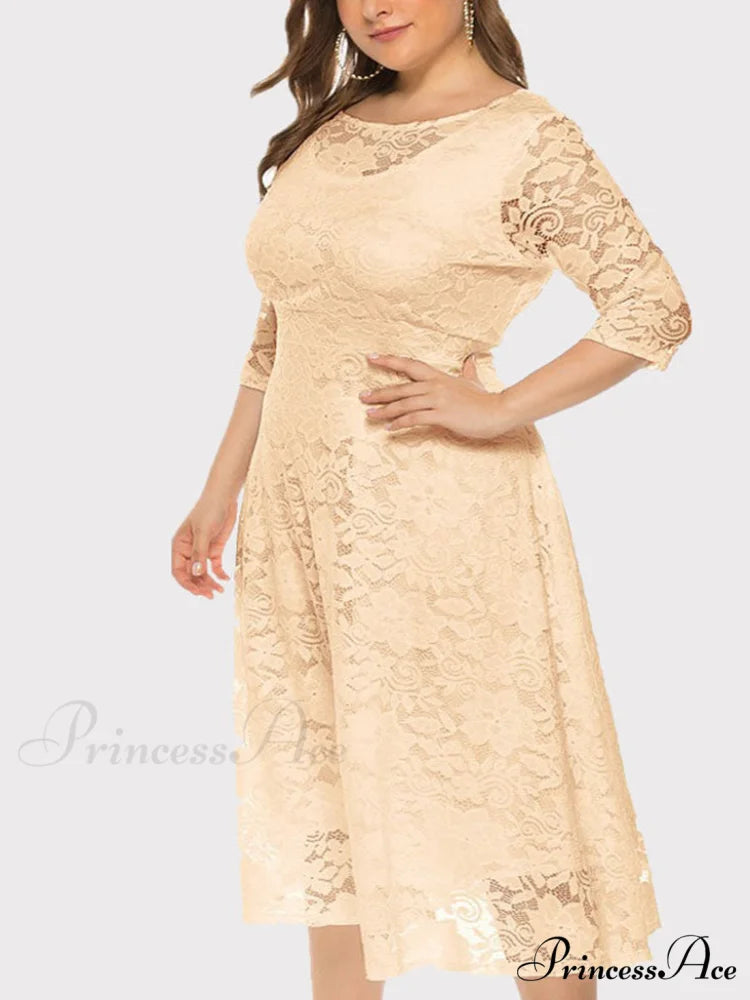 Lace Detail Graceful Bandeau Top