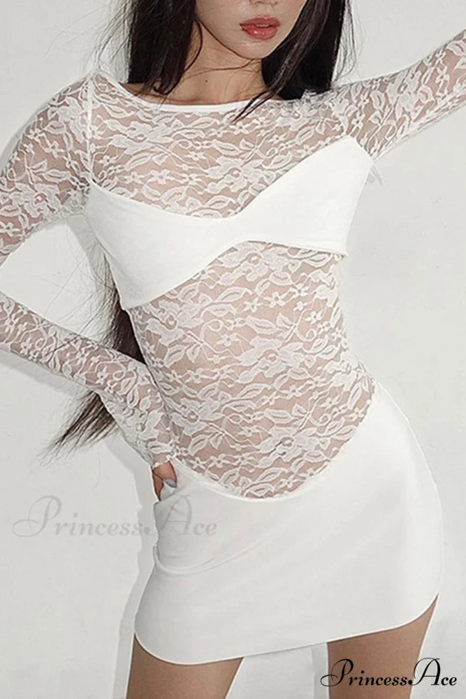 Lace Hollow Out Long Sleeve Pack Hip Dress