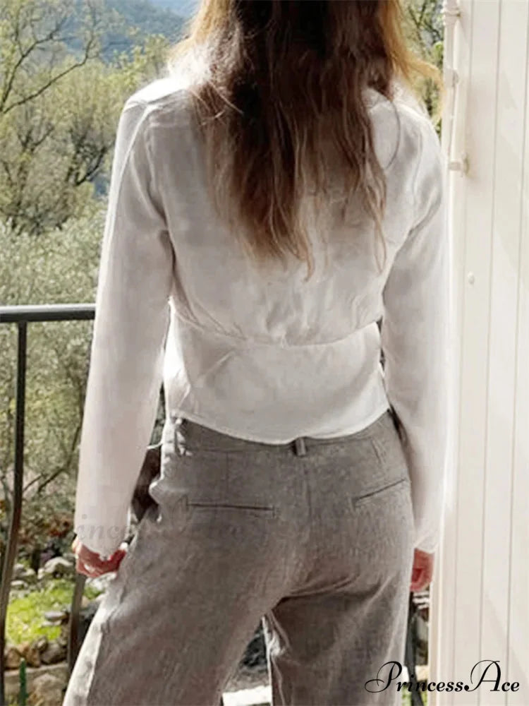 Lace Trim Deep-neck Fasten Blouse blouse-250223