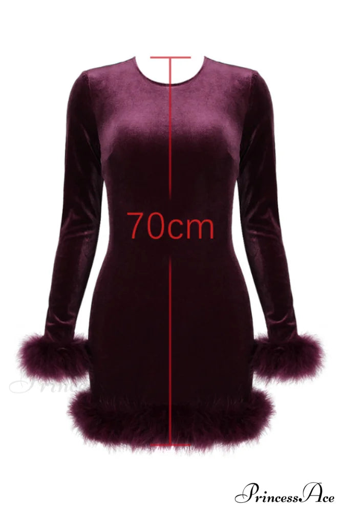 Lavinia Mulberry Stylish Velvet Mini Dress