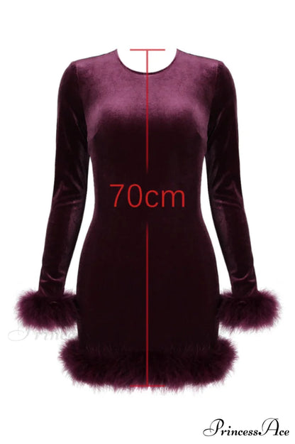 Lavinia Mulberry Stylish Velvet Mini Dress