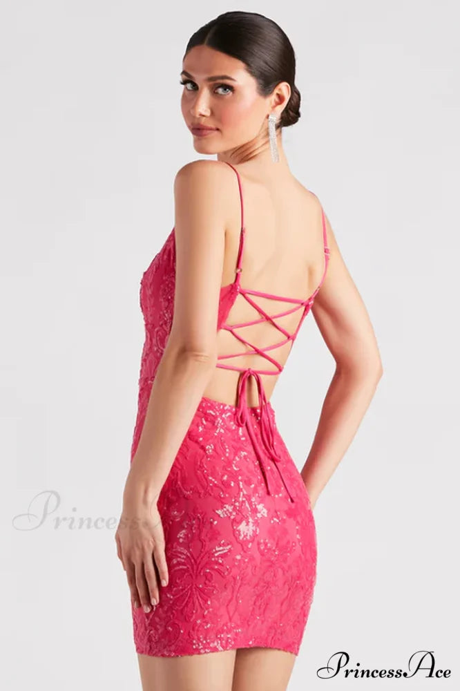 Leila Sequin Stylish Bodycon Mini Dress