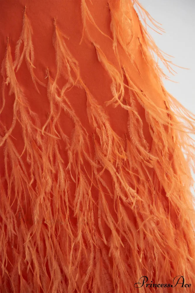 Lena Satin Cutout Trendy Ostrich Feather Maxi Dress