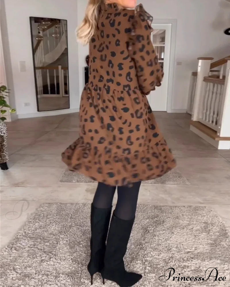 Leopard print dress with long sleeves
