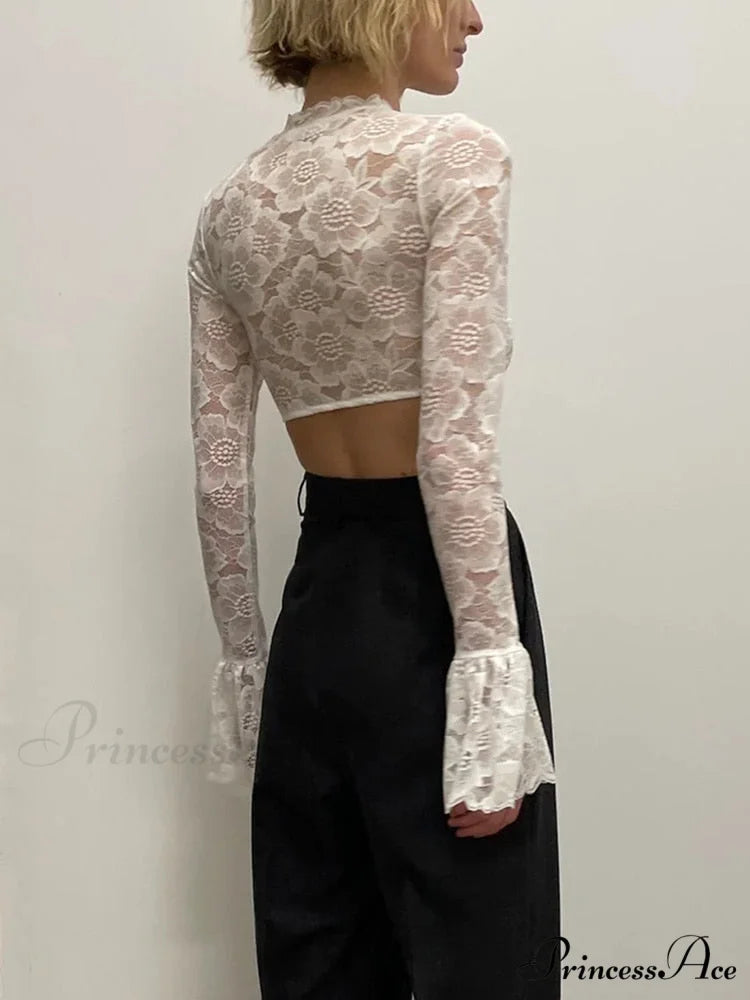 Long Sleeve Lace Charming Mesh Crop Top
