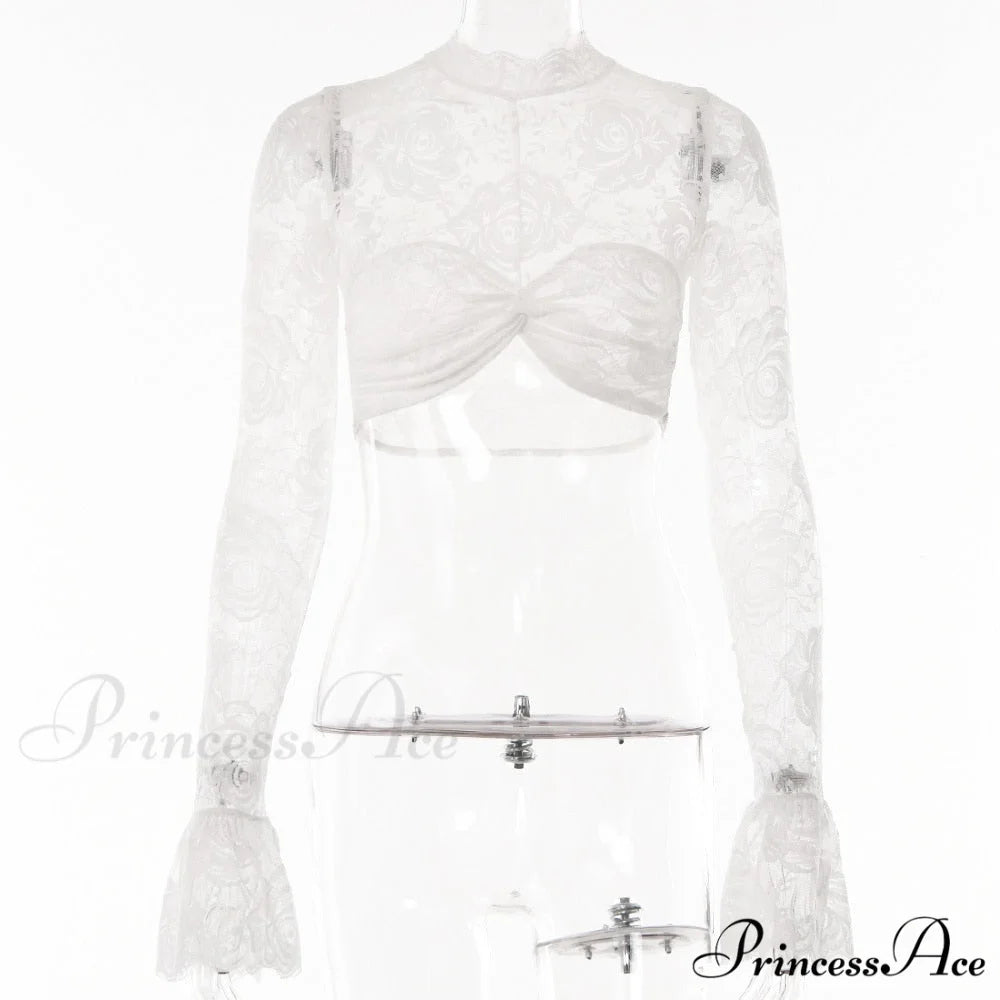 Long Sleeve Lace Charming Mesh Crop Top