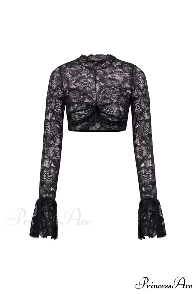 Long Sleeve Lace Charming Mesh Crop Top