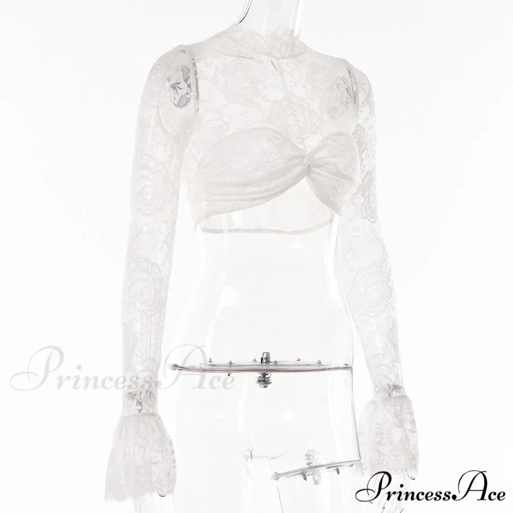 Long Sleeve Lace Charming Mesh Crop Top