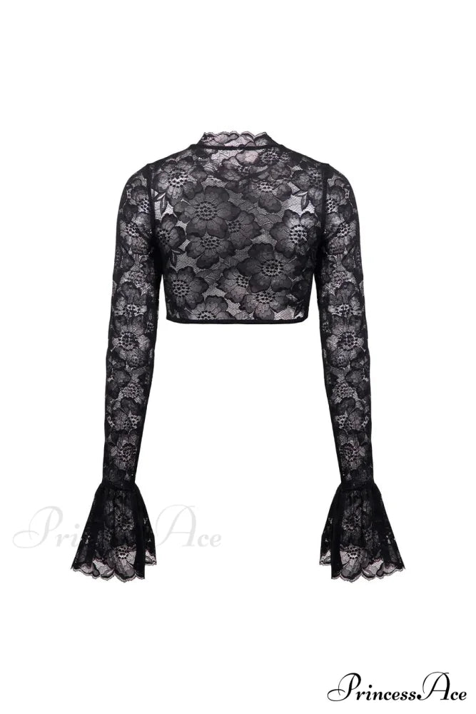 Long Sleeve Lace Charming Mesh Crop Top