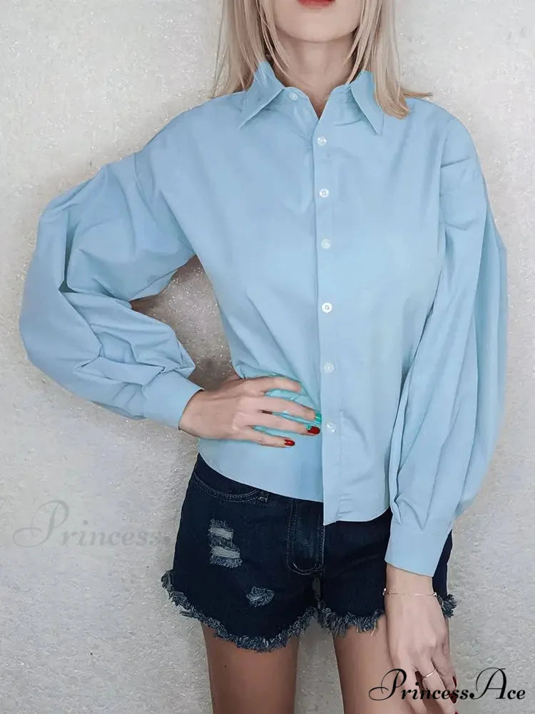 Luminous Sleeve Button Neck Blouse Light Blue / S blouse-250223