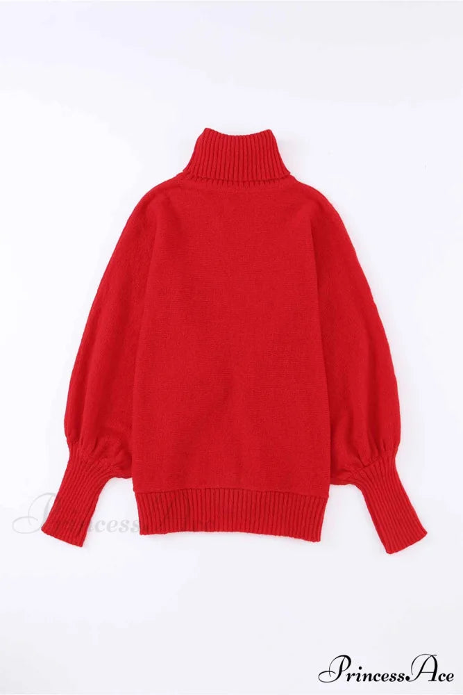 Merry Dolman Sleeve Turtleneck Knitted Sweater