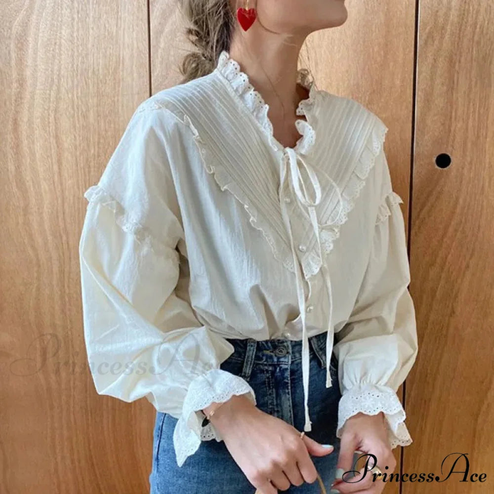 Mesh Hollow-Out Extended Sleeve Top blouse-250223