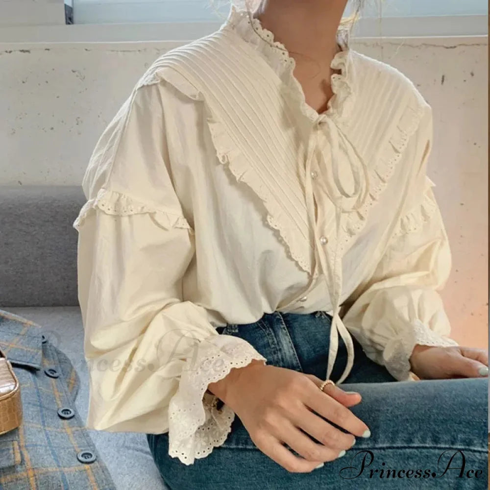 Mesh Hollow-Out Extended Sleeve Top blouse-250223
