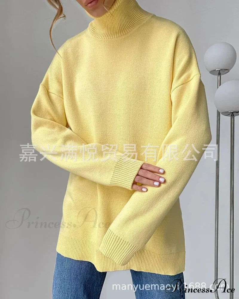 Multicolored High-necked Chunky Jumper swraters-241228