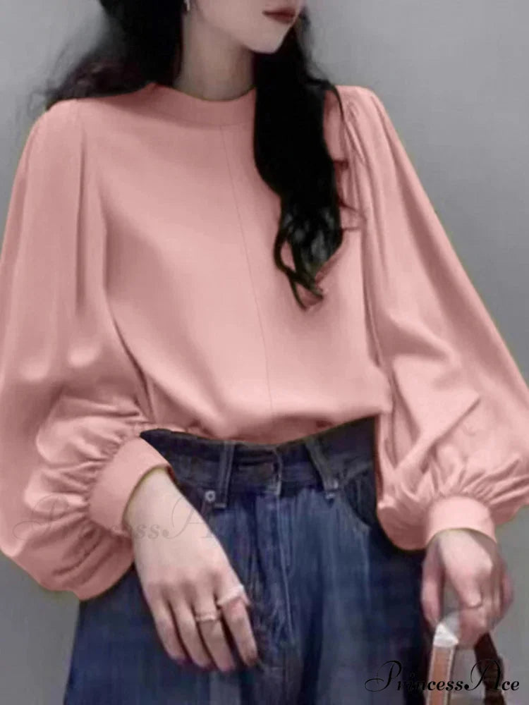 Net Lantern Sleeve Top Spring Tunic Top blouse-250126