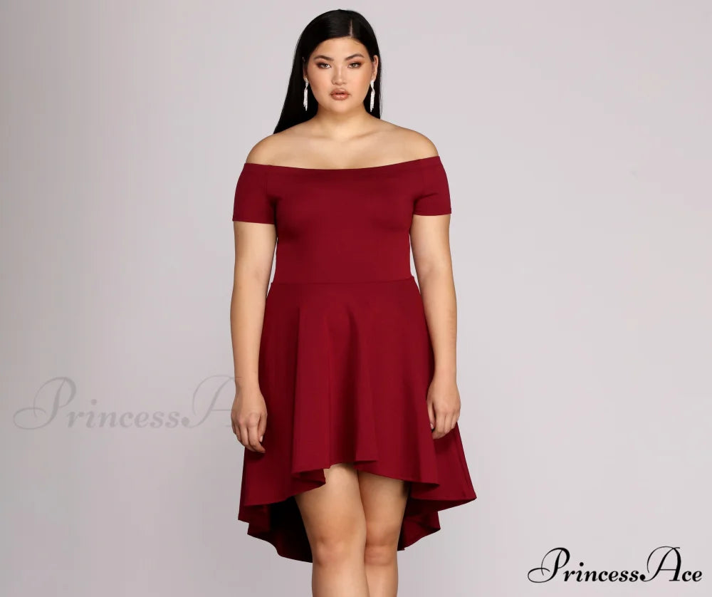 Plus All The Charming Rage Skater Dress BURGUNDY / 1X