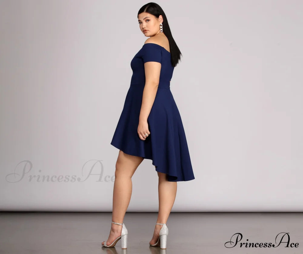 Plus All The Charming Rage Skater Dress DENIM / 1X