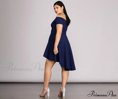 Plus All The Charming Rage Skater Dress DENIM / 1X
