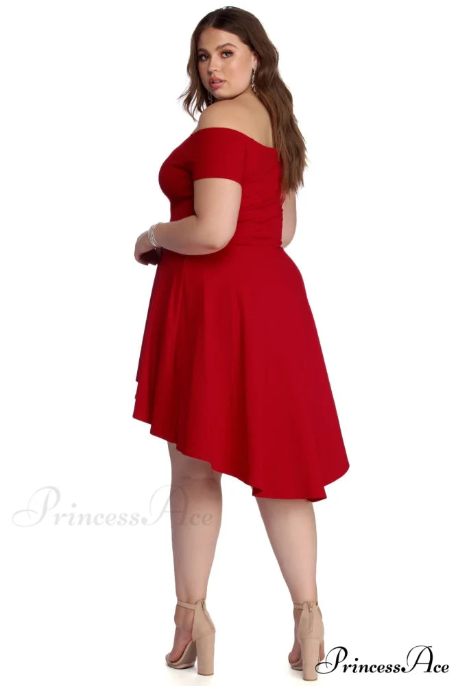 Plus All The Charming Rage Skater Dress DENIM / 3X