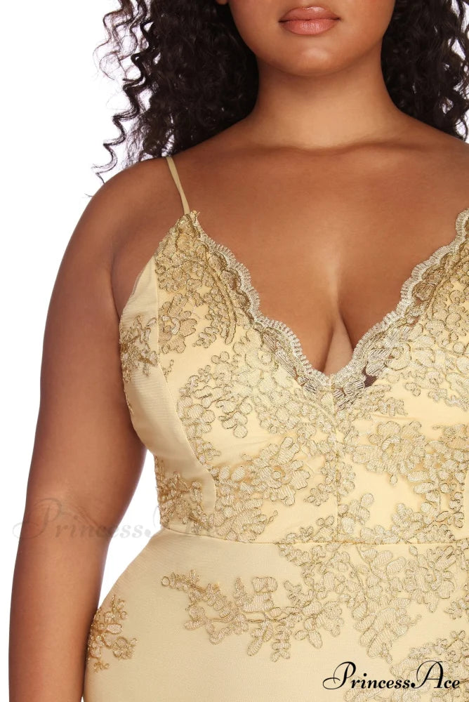 Plus Lace Stylish Darling Mini Dress