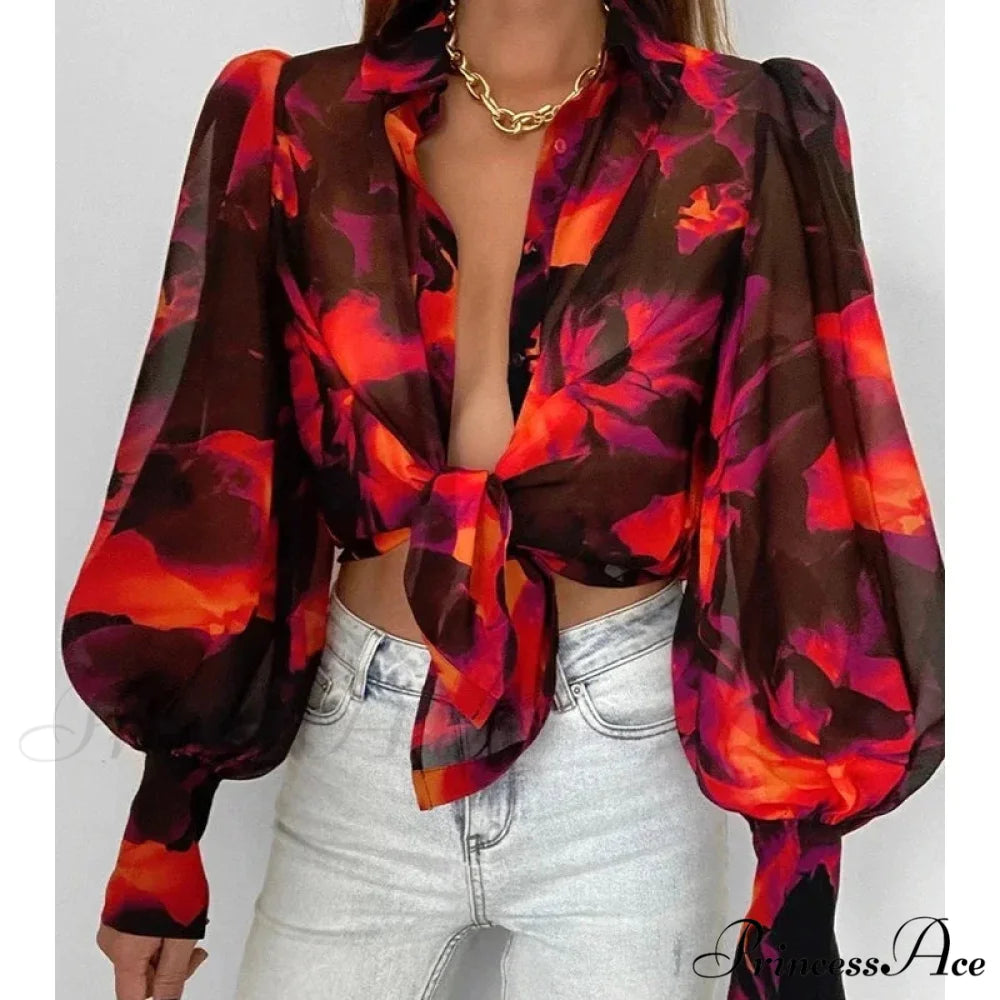 Printed Lantern Sleeve Antique Floral Button Long Sleeve Blouse blouse-250126