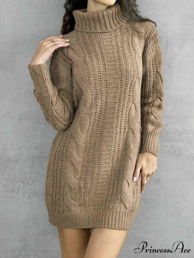 Ribbed Turtleneck Sweater Dress