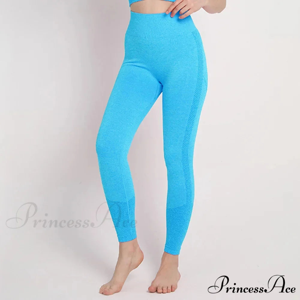 Seamless Workout Legging Lake Blue / S