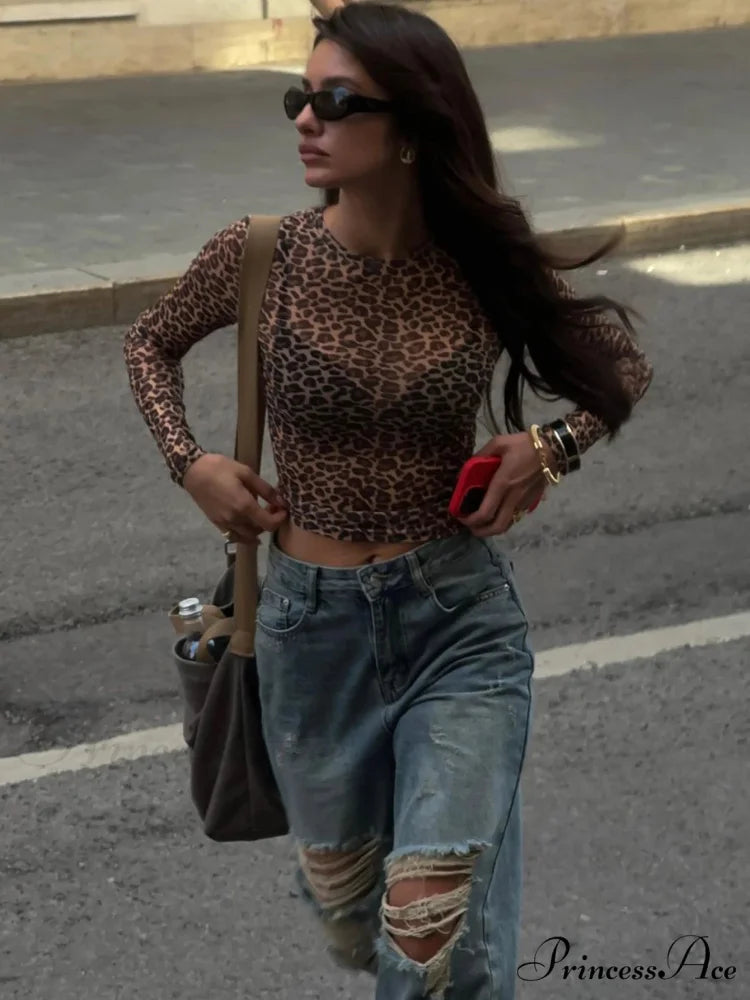 Seductive Extended Sleeve Cheetah Patterned Mesh Body-Hugging Knit Top Leopard / XS knittop-250126