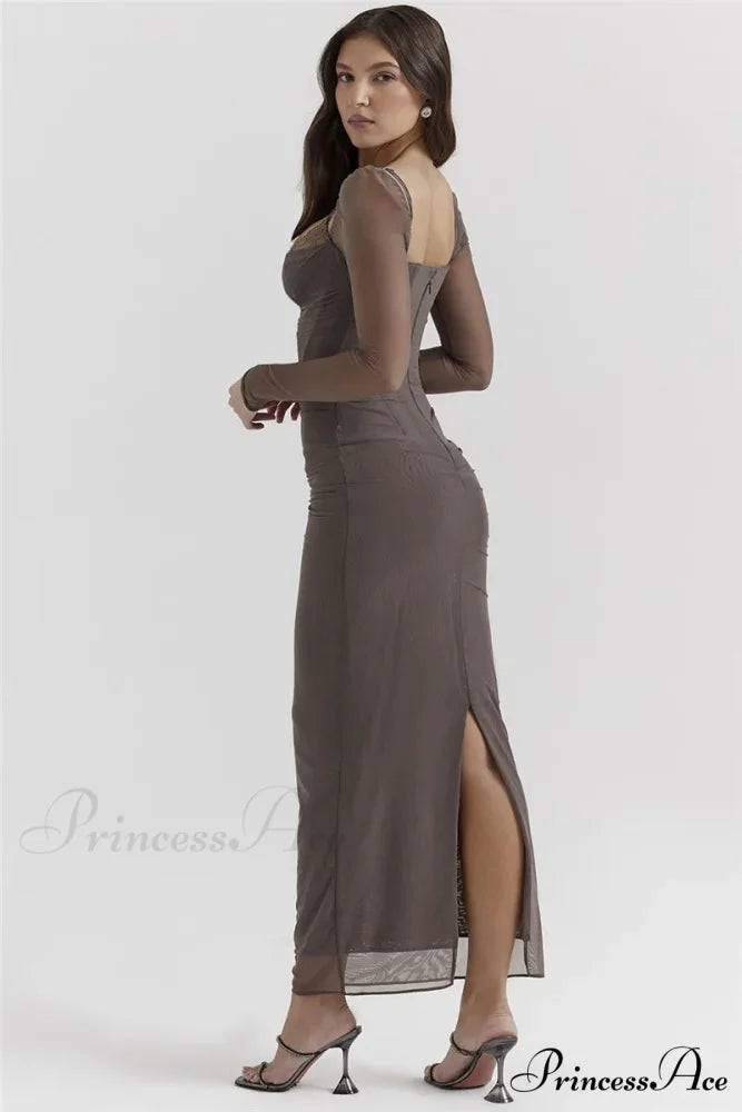 Sheer Long Sleeve Charming Bodycon Maxi Dress