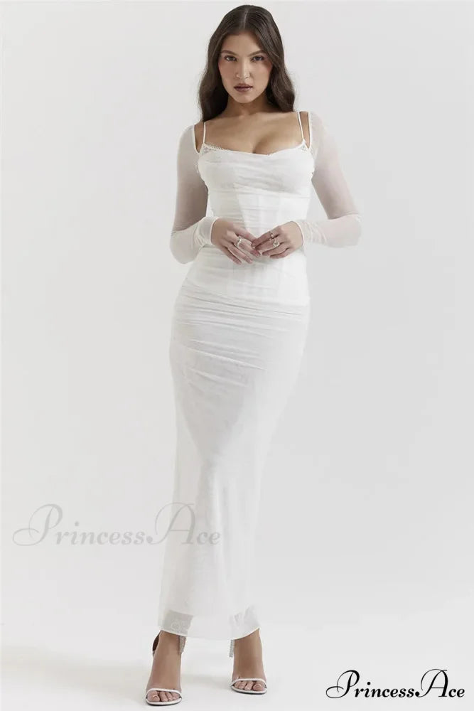 Sheer Long Sleeve Charming Bodycon Maxi Dress