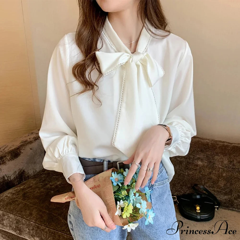 Sheer Ribbon Long Sleeve Workplace Blouse blouse-250126