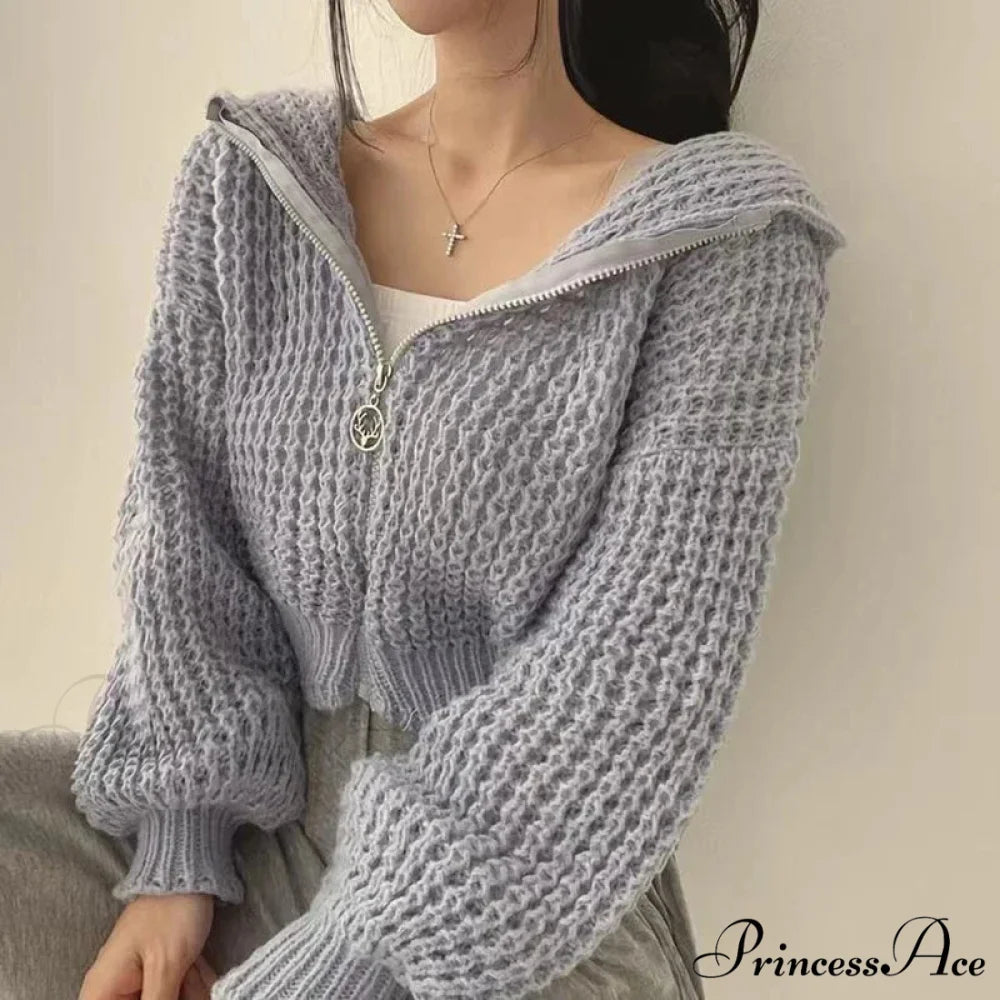 Short Hooded Perforated Knit Cardigan blue-gray / S cardiagn-250126