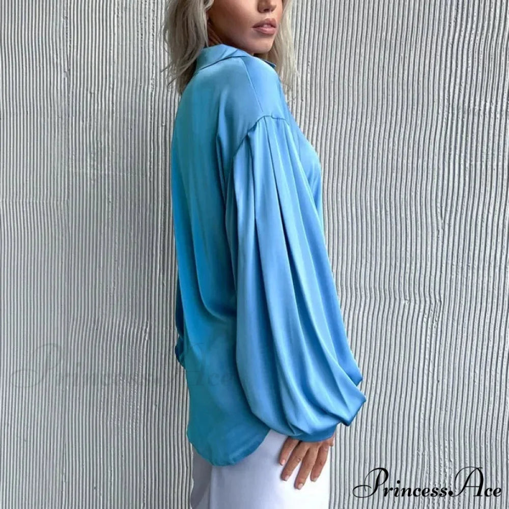 Smooth Loose Lantern Sleeve French Blouse blouse-250126